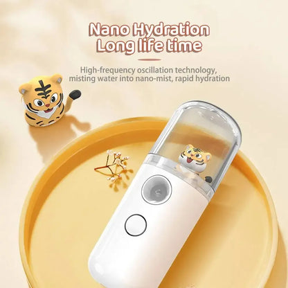 Mini Rechargeable Face Humidifier