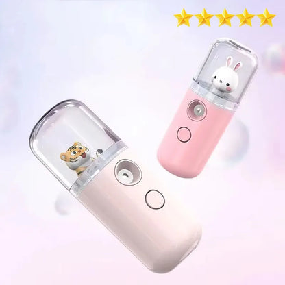 Mini Rechargeable Face Humidifier